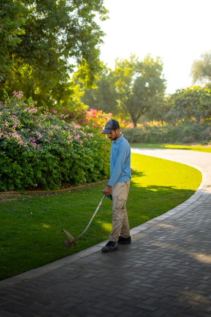 A gardener wearing a dark long-sleeved shirt and a grey wide-brimmed hat is trimming a dense, green hedge with a pair of long-handled hedge shears. The hedge, composed of small, glossy leaves, forms a
