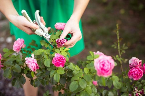 Lush garden showcasing the expertise of Gardener Brockley